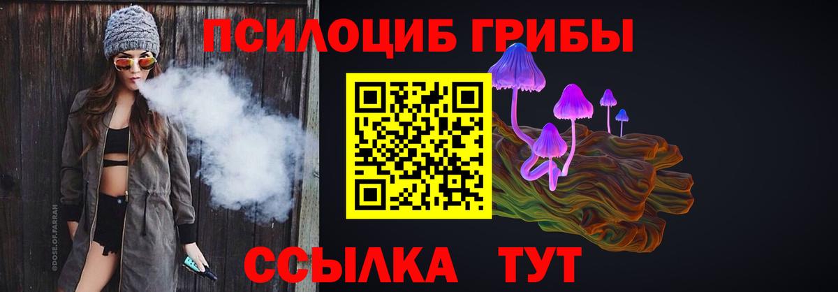 Петропавловск-Камчатский  Псилоцибиновые грибы мухоморы  Вход с VPN 