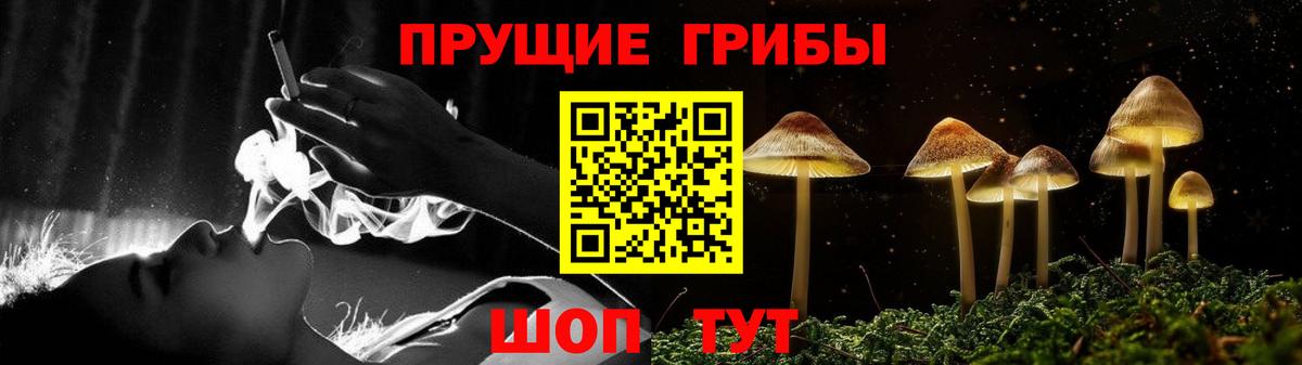 Галлюциногенные грибы мицелий Петропавловск-Камчатский